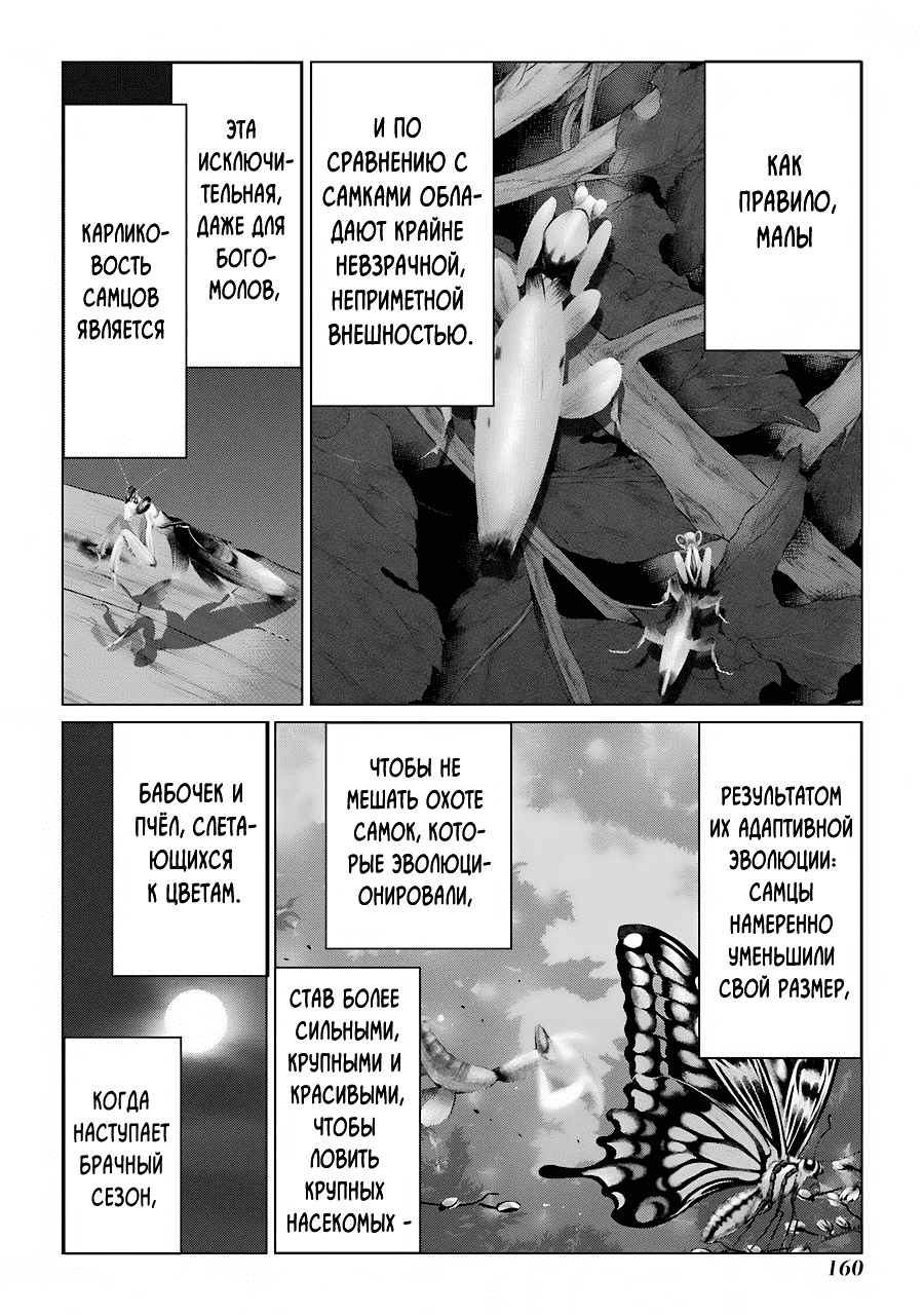 Манга Гусеница - Глава 96 Страница 10