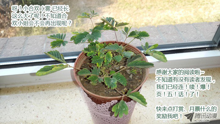 Манга Классификация монстров - Глава 44 Страница 12