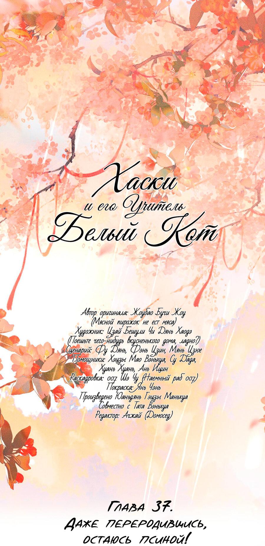 Манга Хаски и его учитель белый кот (Маньхуа) - Глава 37 Страница 2