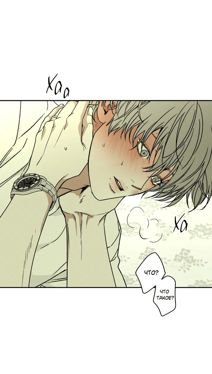 Манга Доставщик пиццы и золотой дворец - Глава 95 Страница 9