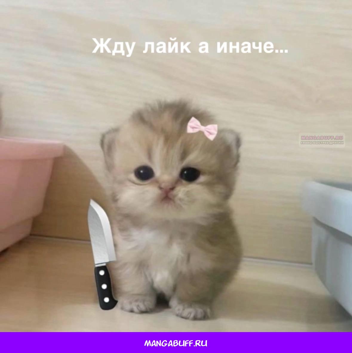 Манга Как спрятать дитя императора - Глава 122 Страница 73