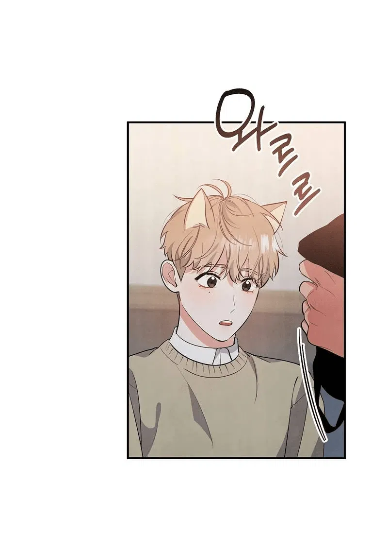 Манга Глупая связь - Глава 44 Страница 22