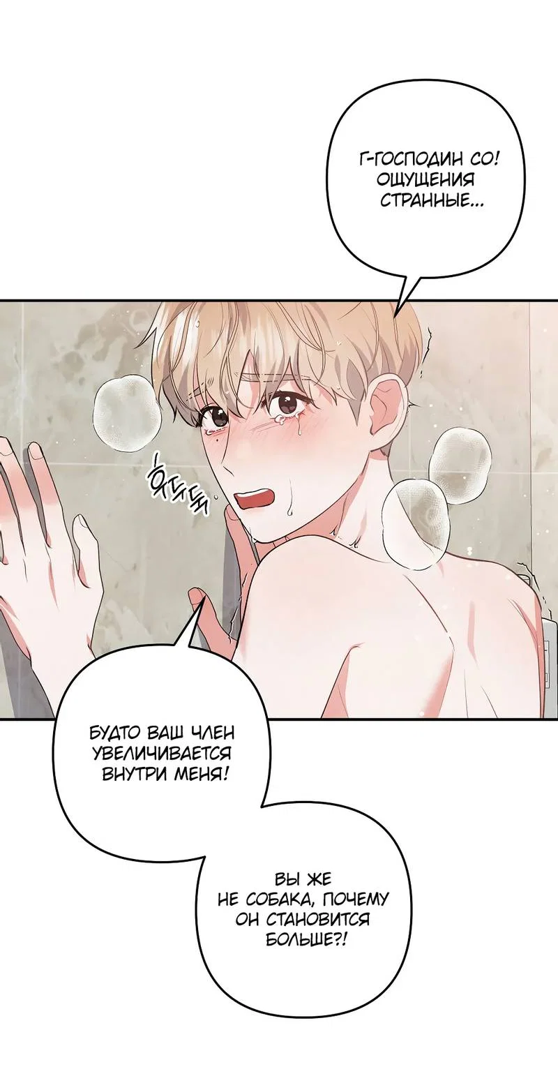 Манга Глупая связь - Глава 49 Страница 27