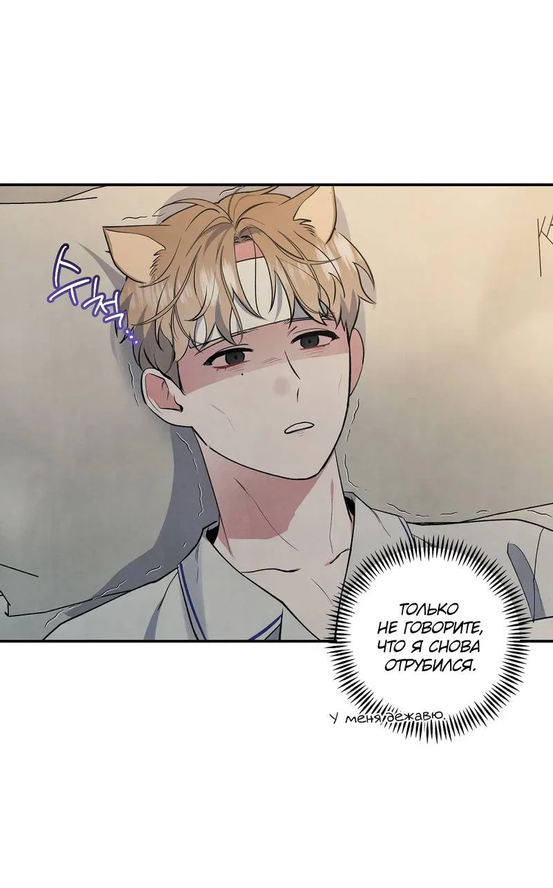 Манга Глупая связь - Глава 49 Страница 54