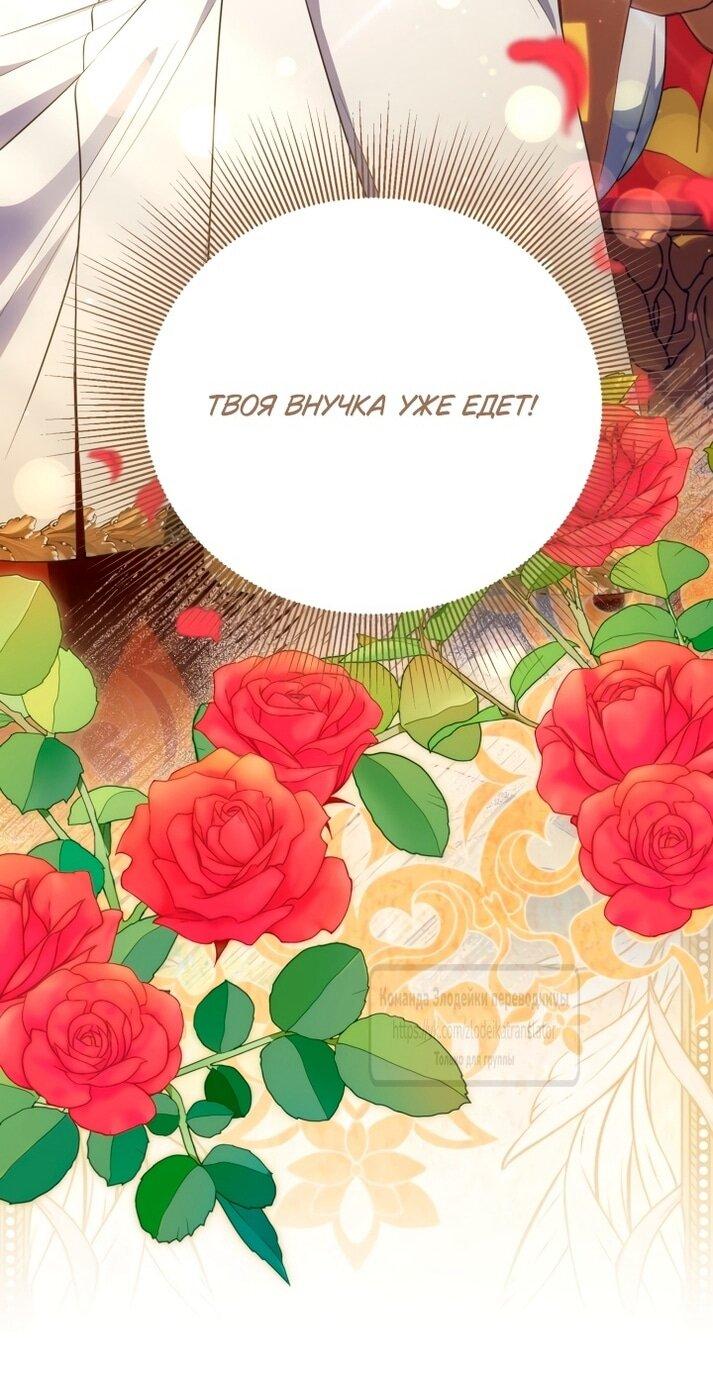 Манга Привилегия попаданки - Глава 119 Страница 17