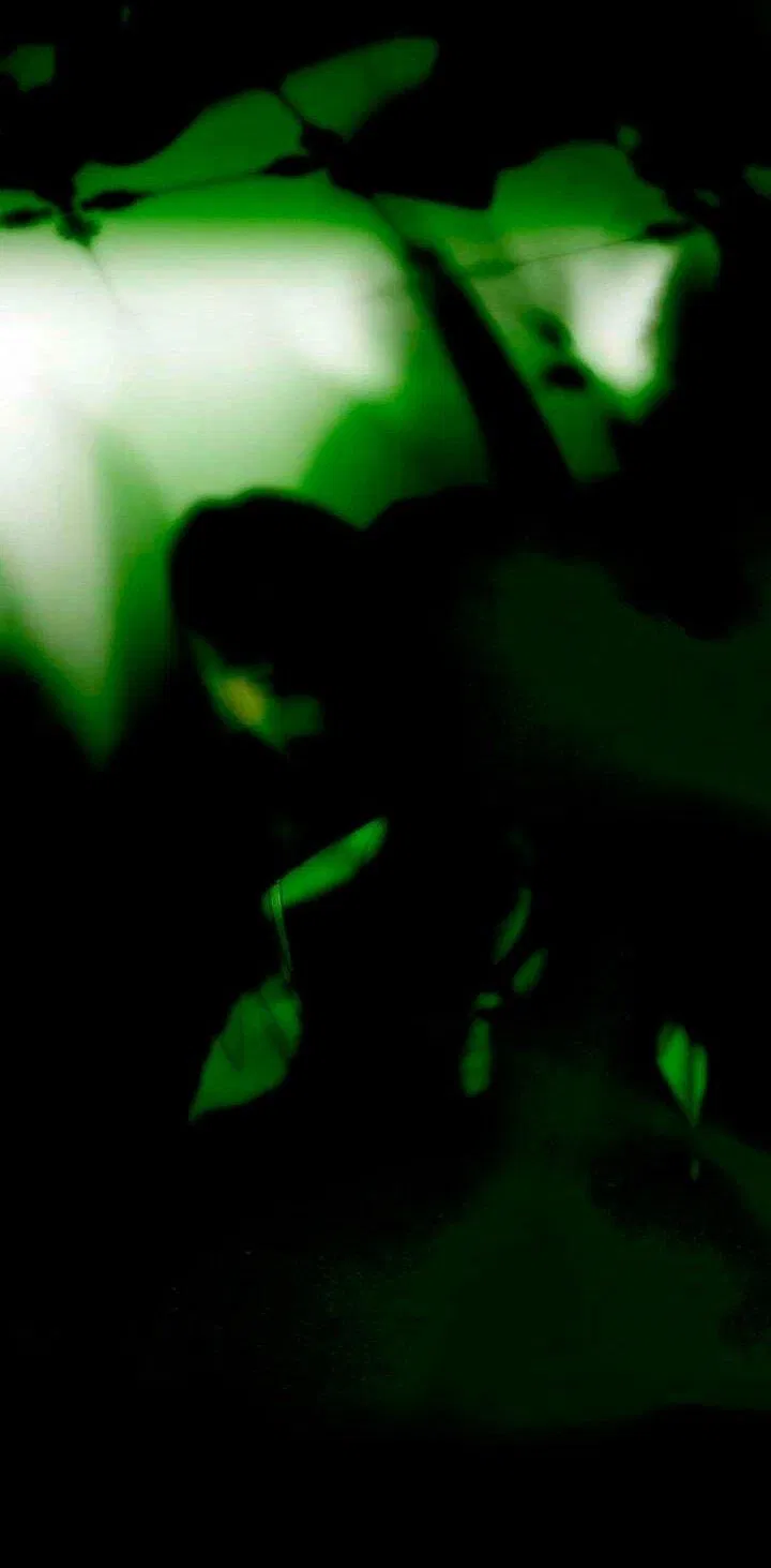 Манга Серена - Глава 114 Страница 9