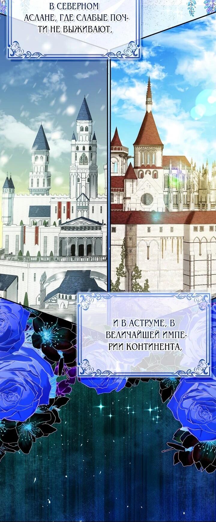 Манга Одарённая Белочка - Глава 129 Страница 3