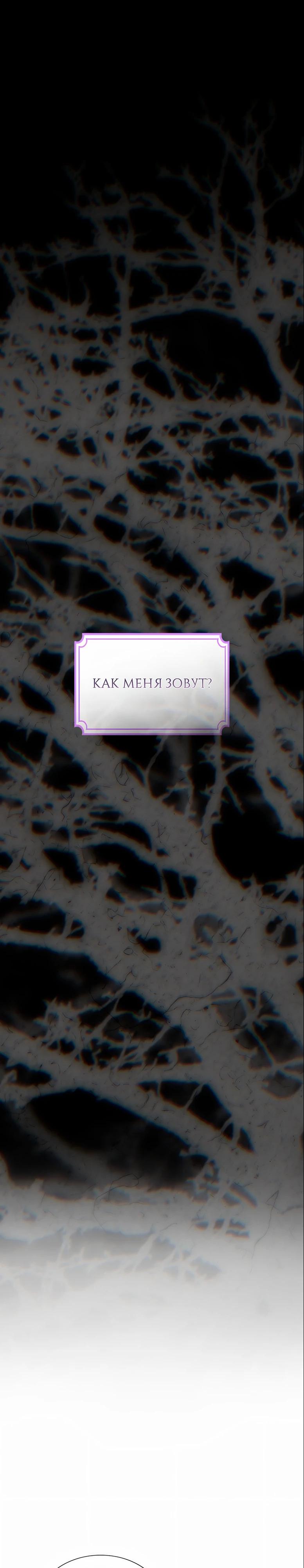 Манга Она родилась как вторая дочь - Глава 92 Страница 13