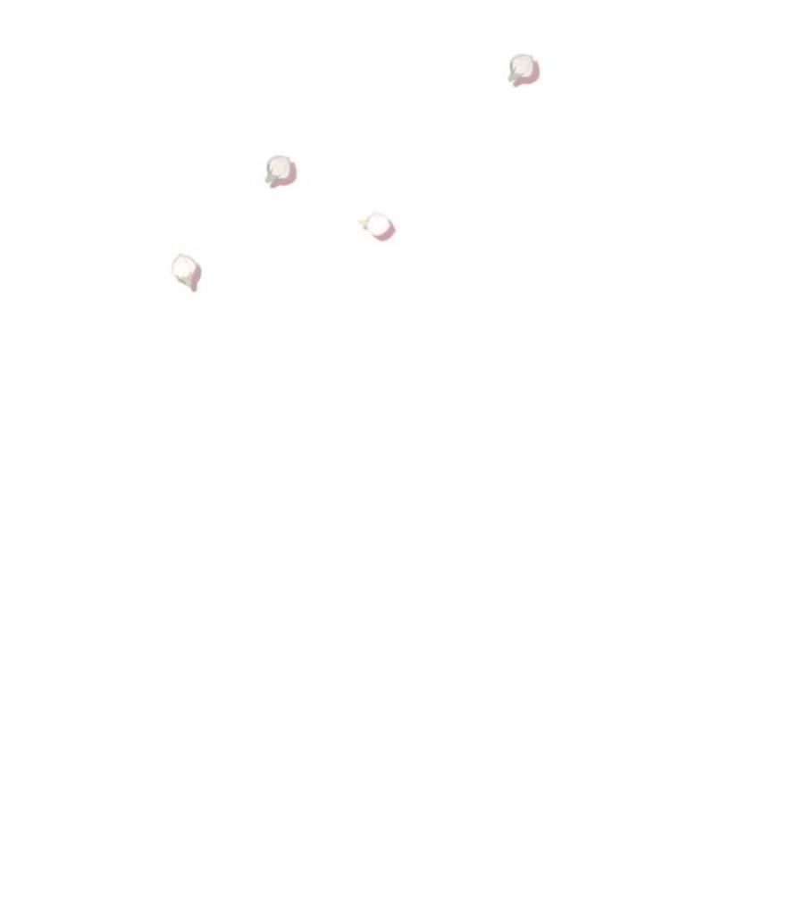 Манга Я самый красивый господин в королевстве Сиам - Глава 15 Страница 14