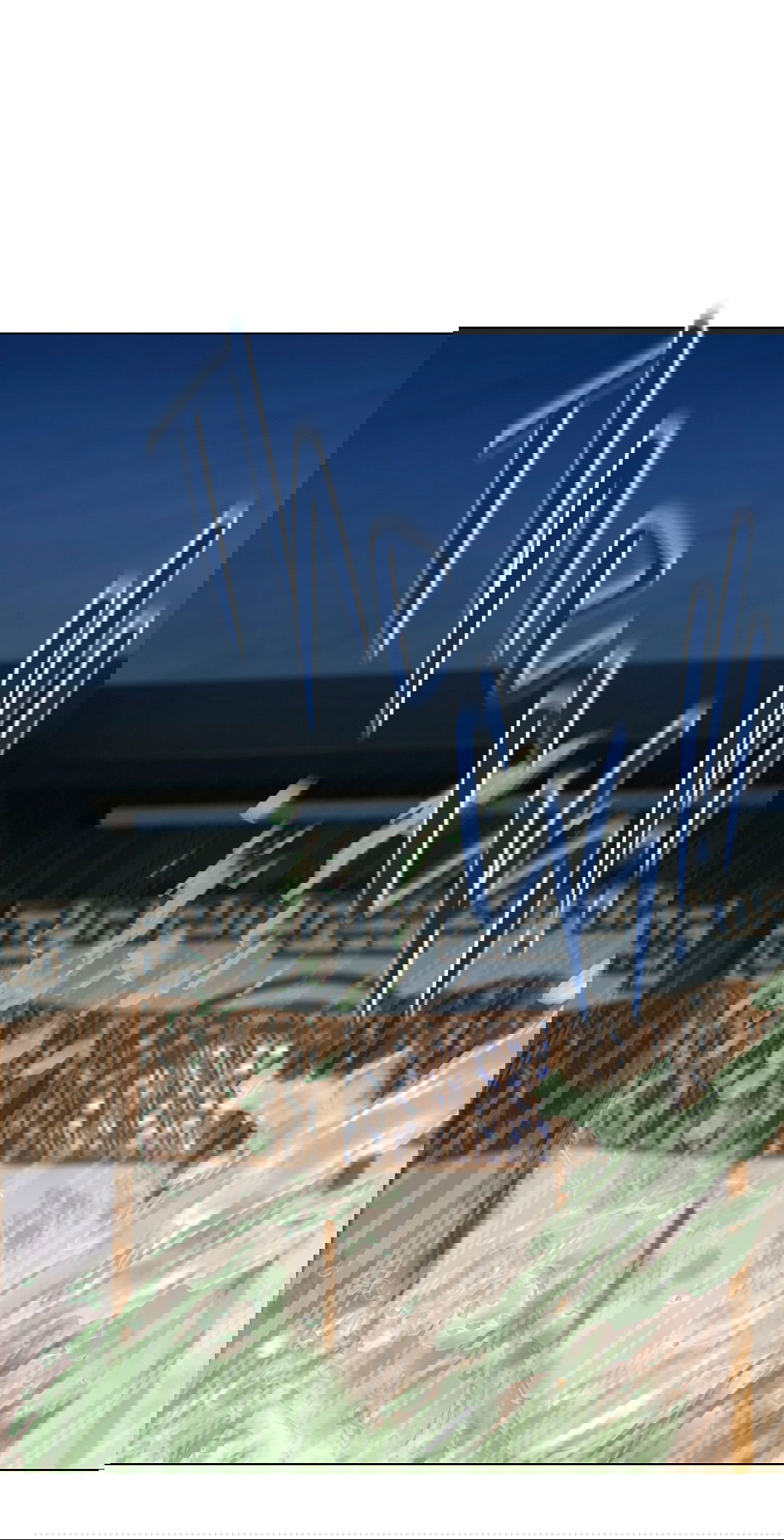 Манга Бумажный Цветок - Глава 38 Страница 54