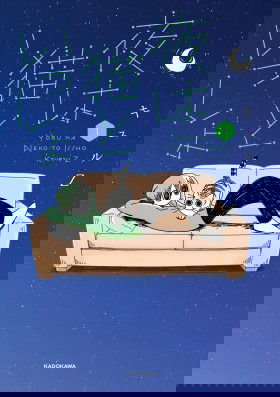 Вечера с кошкой