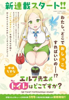 Куда эльф-учитель ходит в туалет?