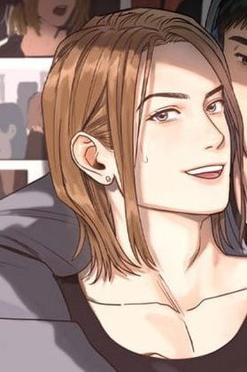 Подсолнух расцвёл