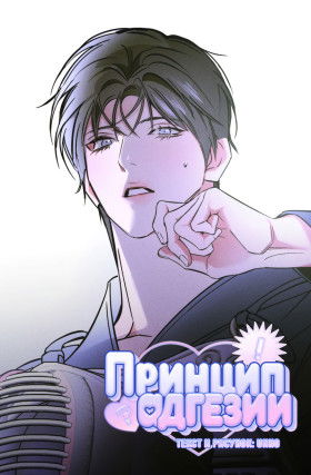 Принцип адгезии