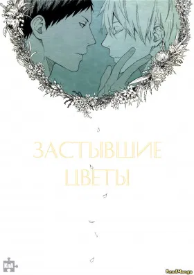 Застывшие цветы