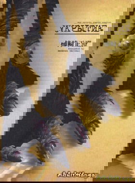 Укрытие